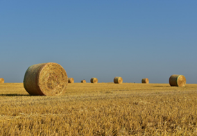 baler twine